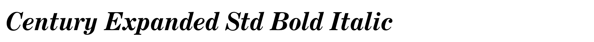 Century Expanded Std Bold Italic image